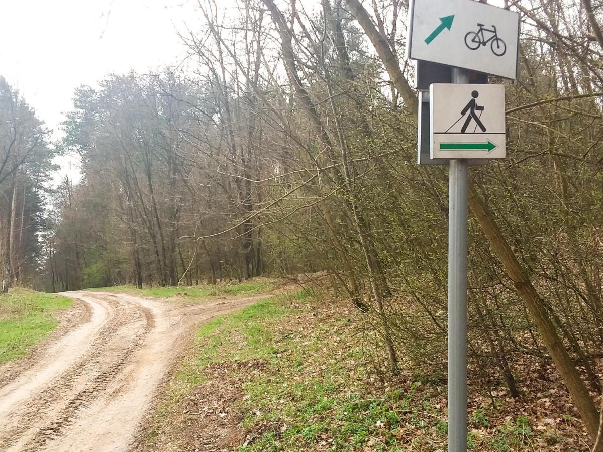 Dworek Akacja Uslugi Hotelarskie Janowiec Exterior foto