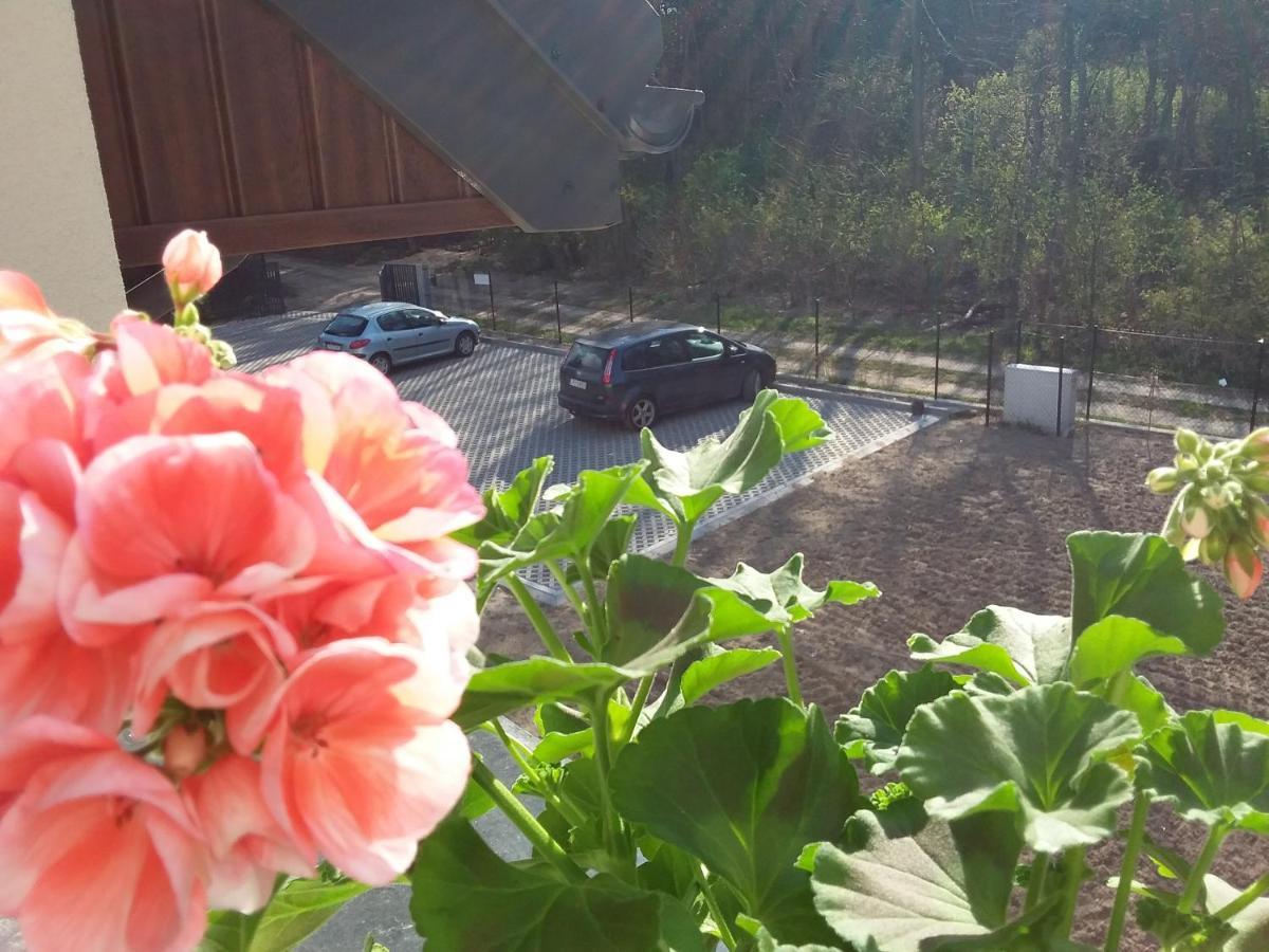 Dworek Akacja Uslugi Hotelarskie Janowiec Exterior foto